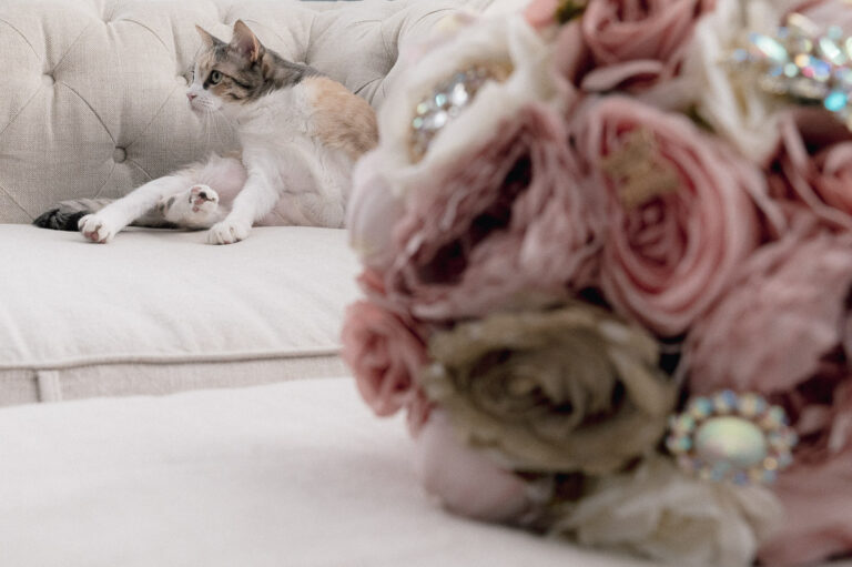 Venezzia-The-Venue-Brownsville