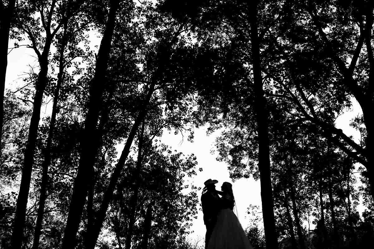 princess-wedding-gardens