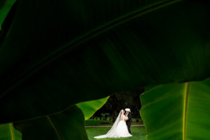 princess-wedding-gardens