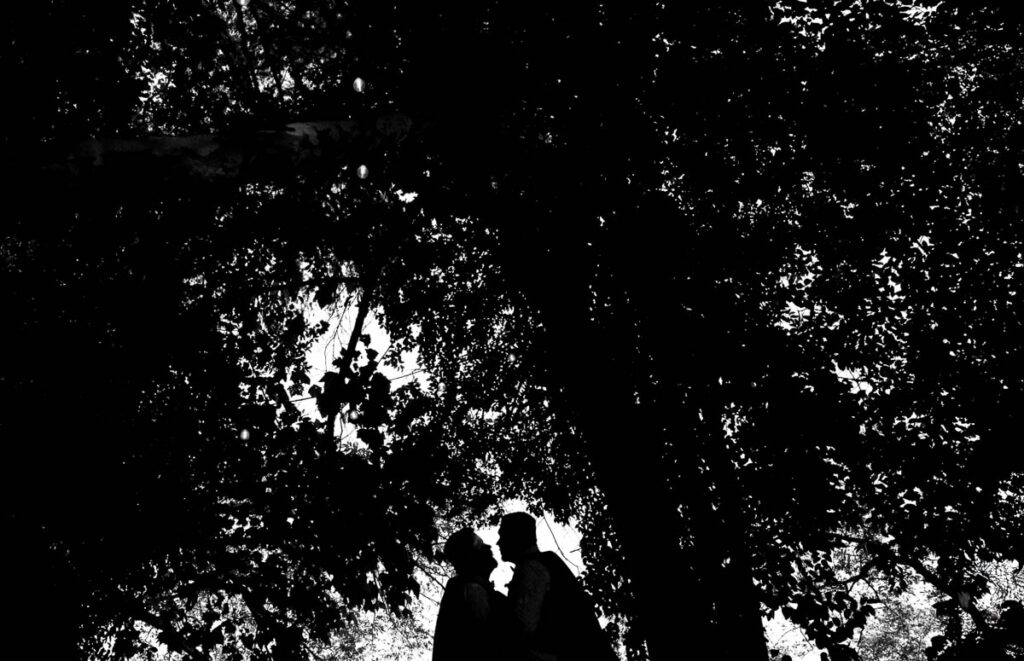 Boda-en-Jardin-los-Olivos