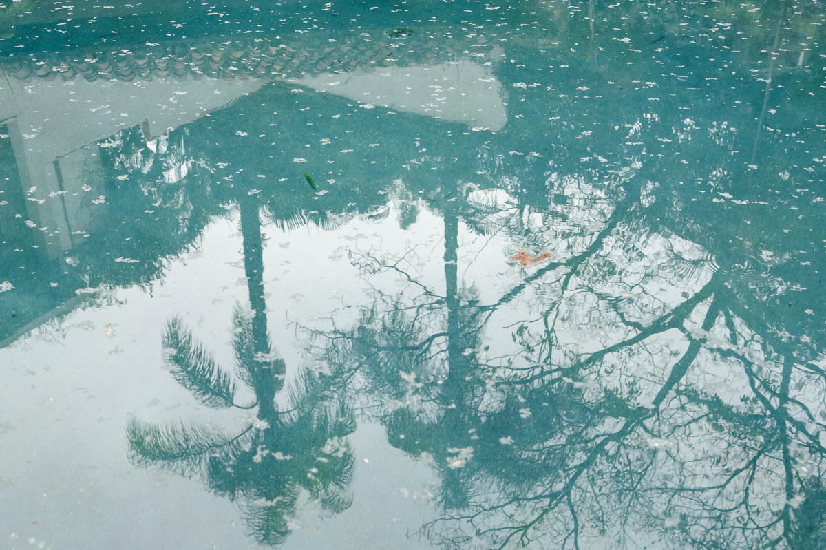 Fotografo-de-bodas-en-Cuernavaca